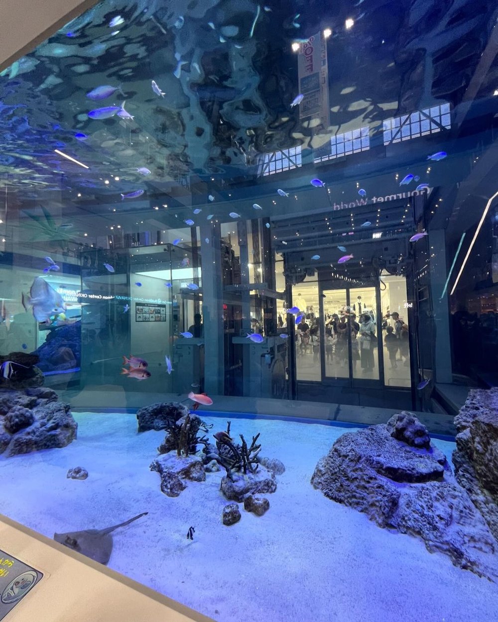 沖繩Outlet, AEON MALL Okinawa Rycom必買