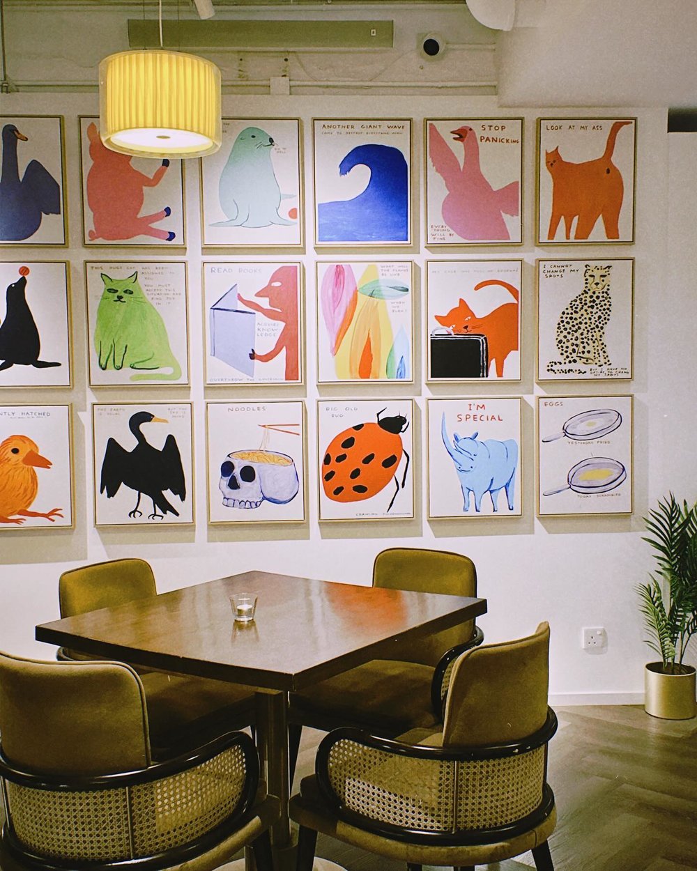 Casa Cucina | Image Source: khush1i1inhk's Instagram