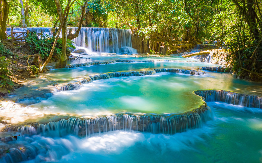 Buổi Trưa: Chinh Phục Thác Kuang Si - Thiên Đường Giữa Núi Rừng