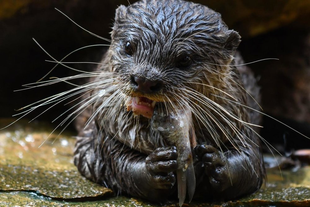 tour-dem-vuon-quoc-gia-cuc-phuong