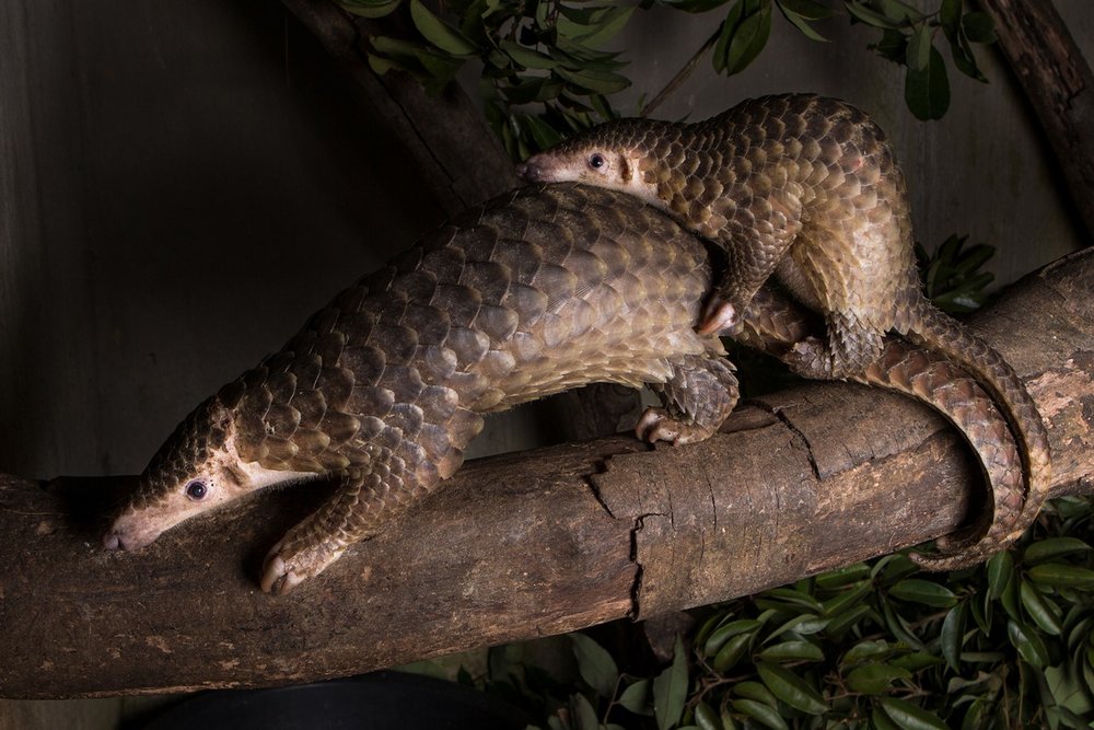 tour-dem-vuon-quoc-gia-cuc-phuong