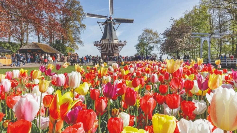 荷蘭, 2025公眾假期, 2025請假攻略