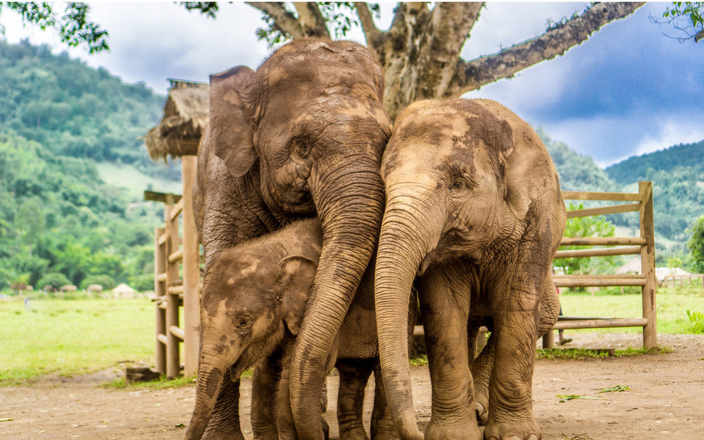 Du-lich-thai-lan-thang-7