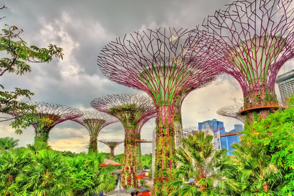 cloud forest singapore 