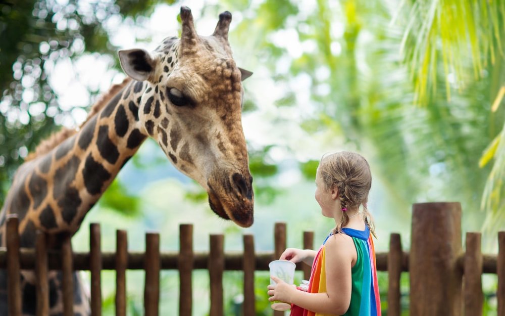 Du-lich-thai-lan-thang-8