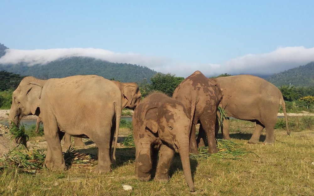 Du-lich-thai-lan-thang-8