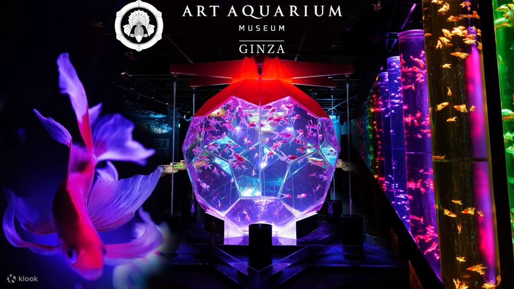 アートアクアリウム美術館GINZA 入館チケット（東京）