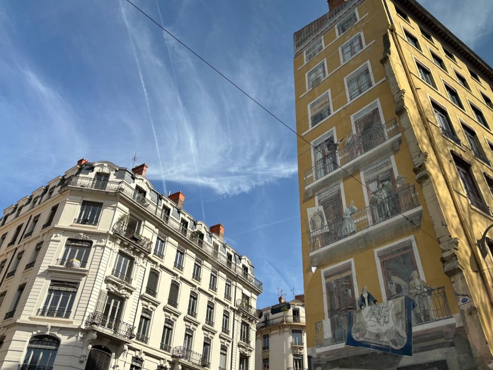FR フランス リヨン [Fresque des Lyonnais]