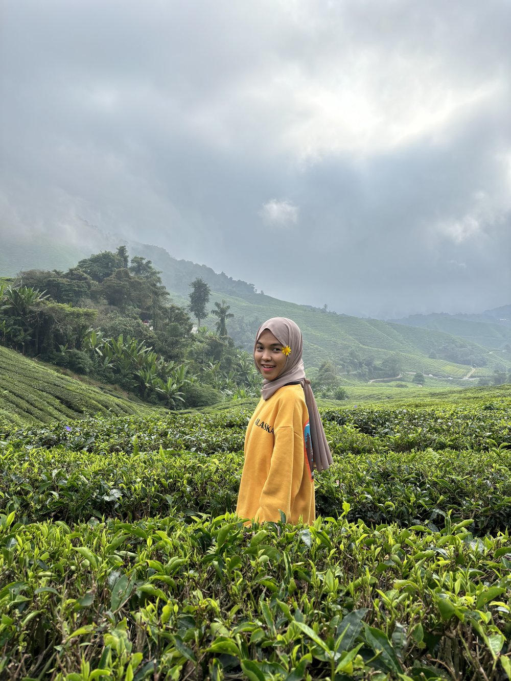 Cameron Highlands