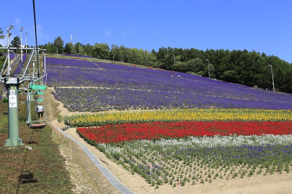 北星山薰衣草園