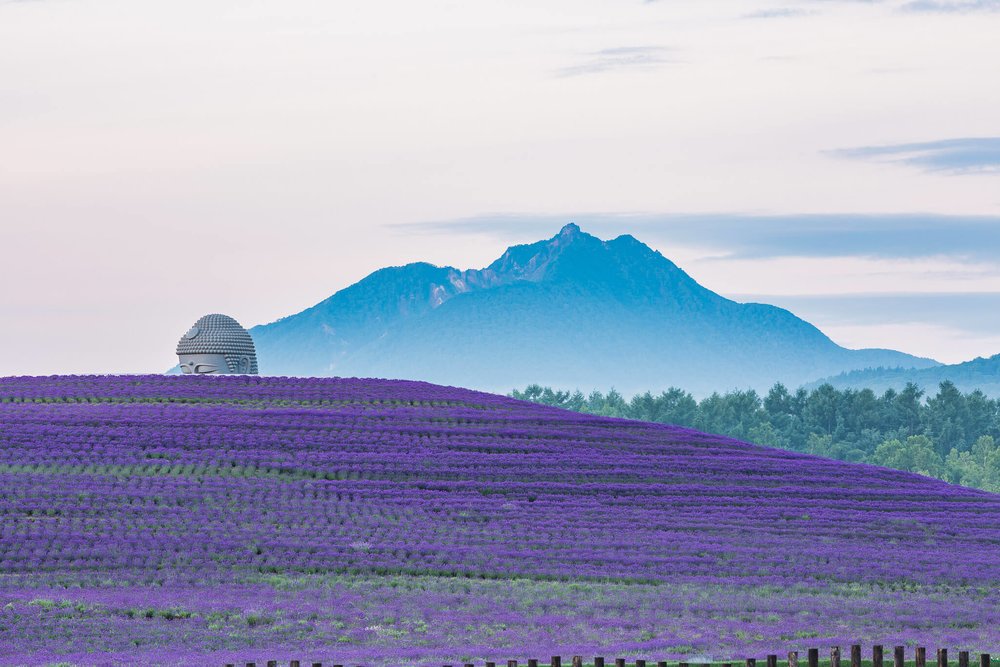 真駒內瀧野靈園