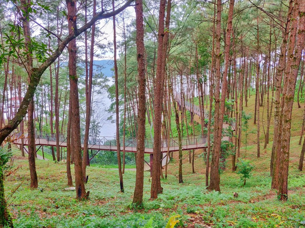 shillong india