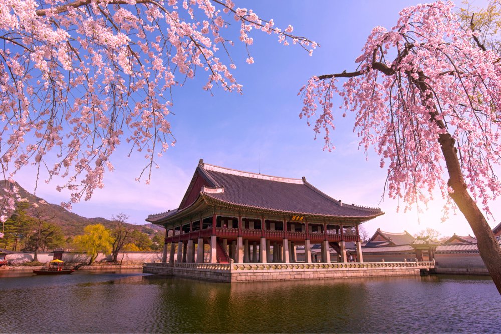 Vé tham quan - Tối Ưu Hóa Trải Nghiệm Và Chi Phí