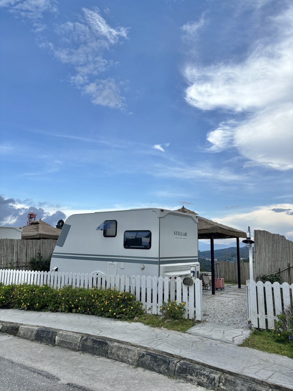 Stellar Golden Hill Cameron Highland