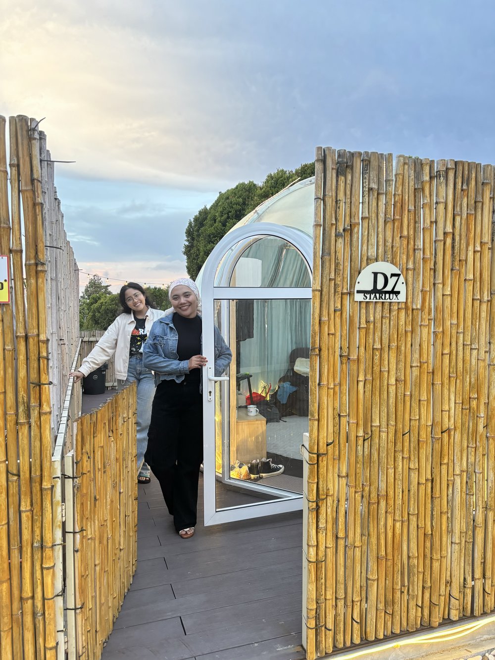 Stellar Golden Hill Cameron Highland