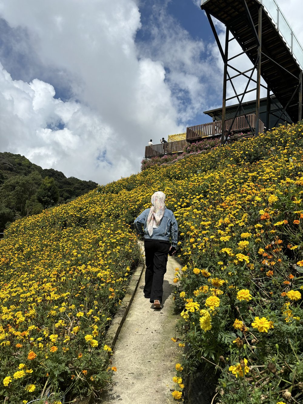 Flora Park Cameron Highlands