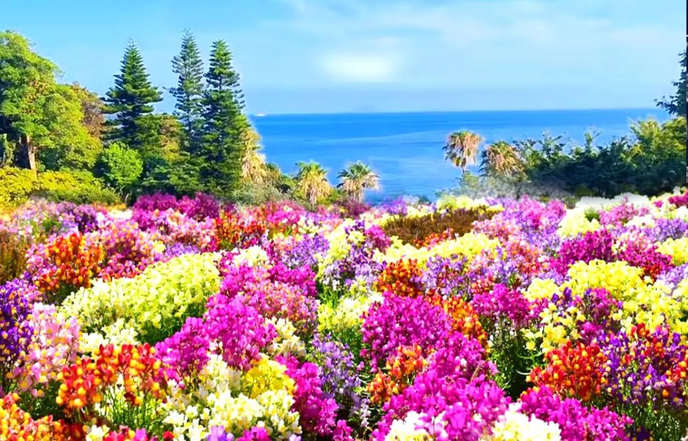 紐約燈具博物館花園 紫陽花苑