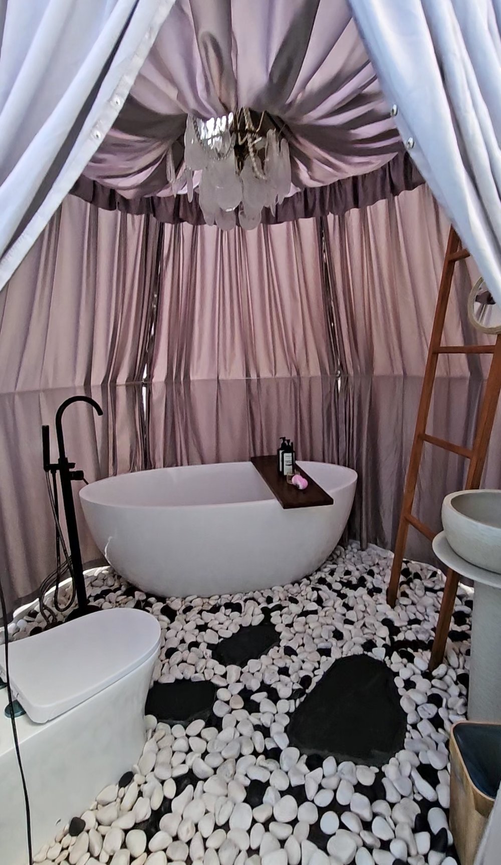 MY Stellar Golden Hills