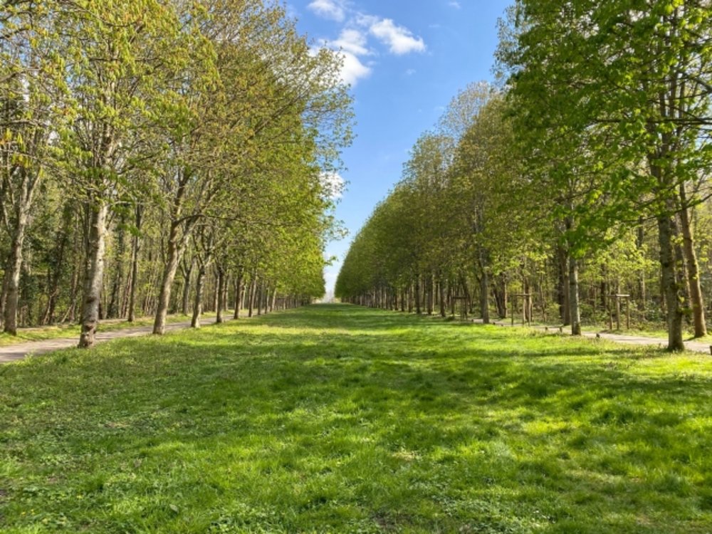 全仏オープン ローラン・ギャロス ブローニュの森