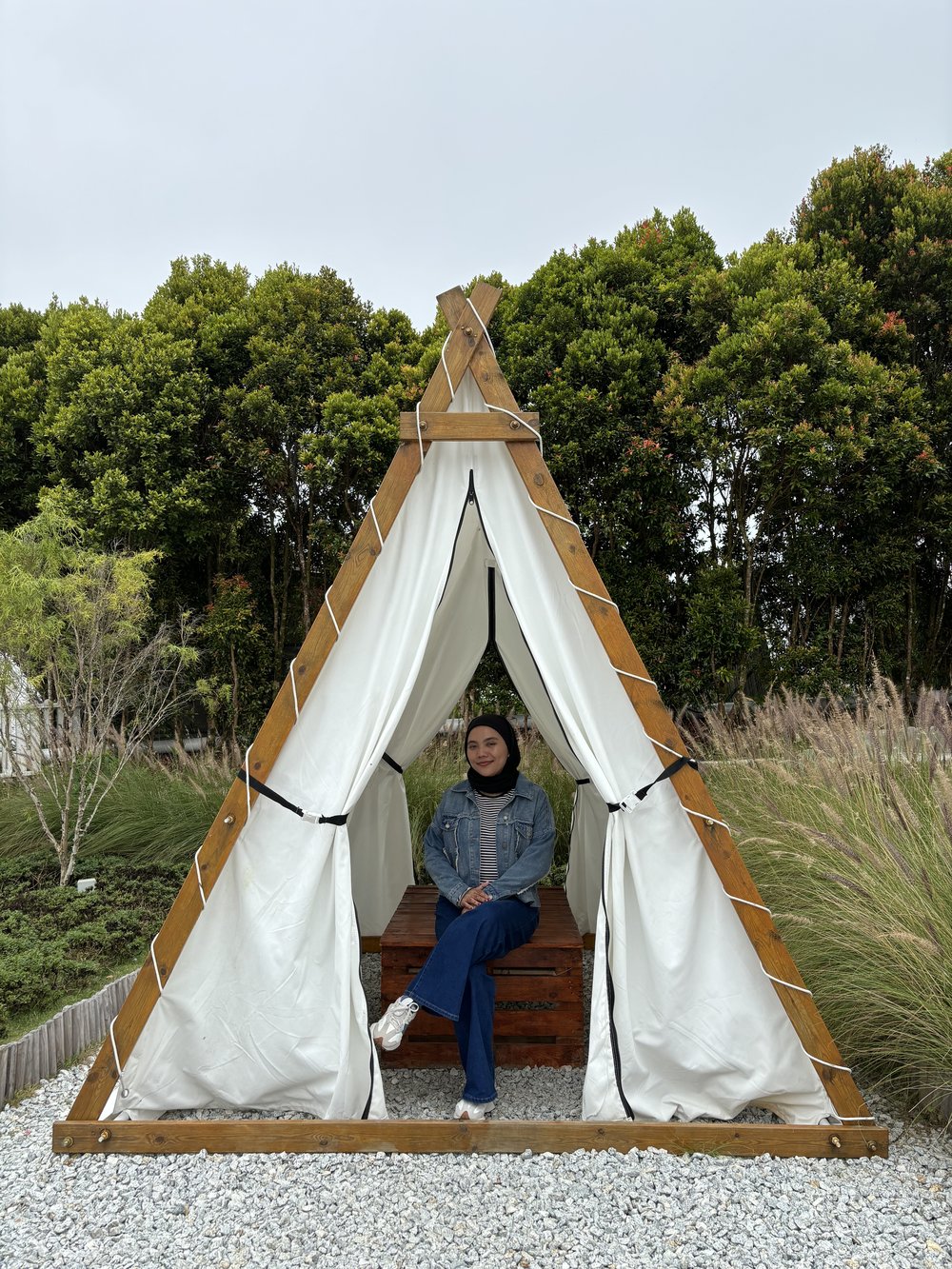 MY Stellar Golden Hills