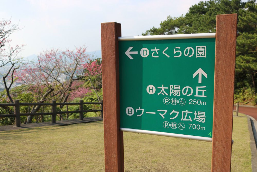 [Okinawa Free Travel 2024] แพลนเที่ยวโอกินาว่า 3 วัน พร้อมที่เที่ยวที่ไม่ควรพลาด 8