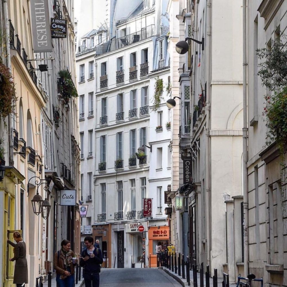 Hôtel Thérèse Paris boutique hotel