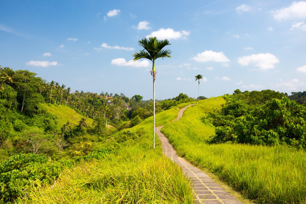 Campuhan Ridge Walk