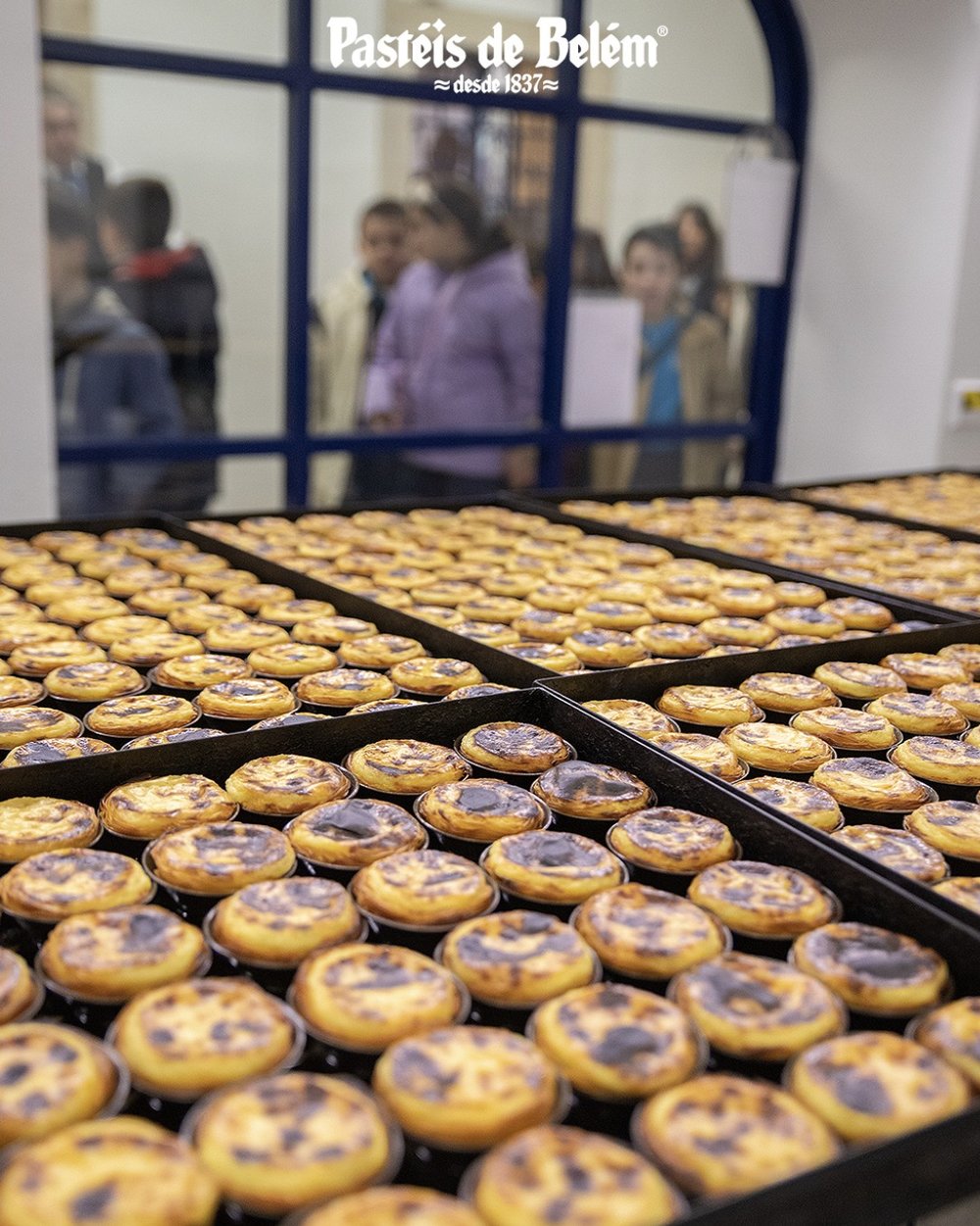 葡萄牙旅遊, 葡萄牙自由行,葡萄牙美食