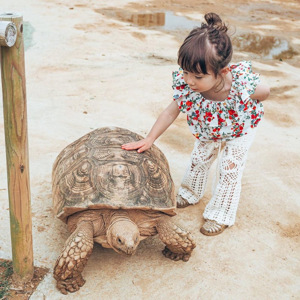 名護自然動植物公園