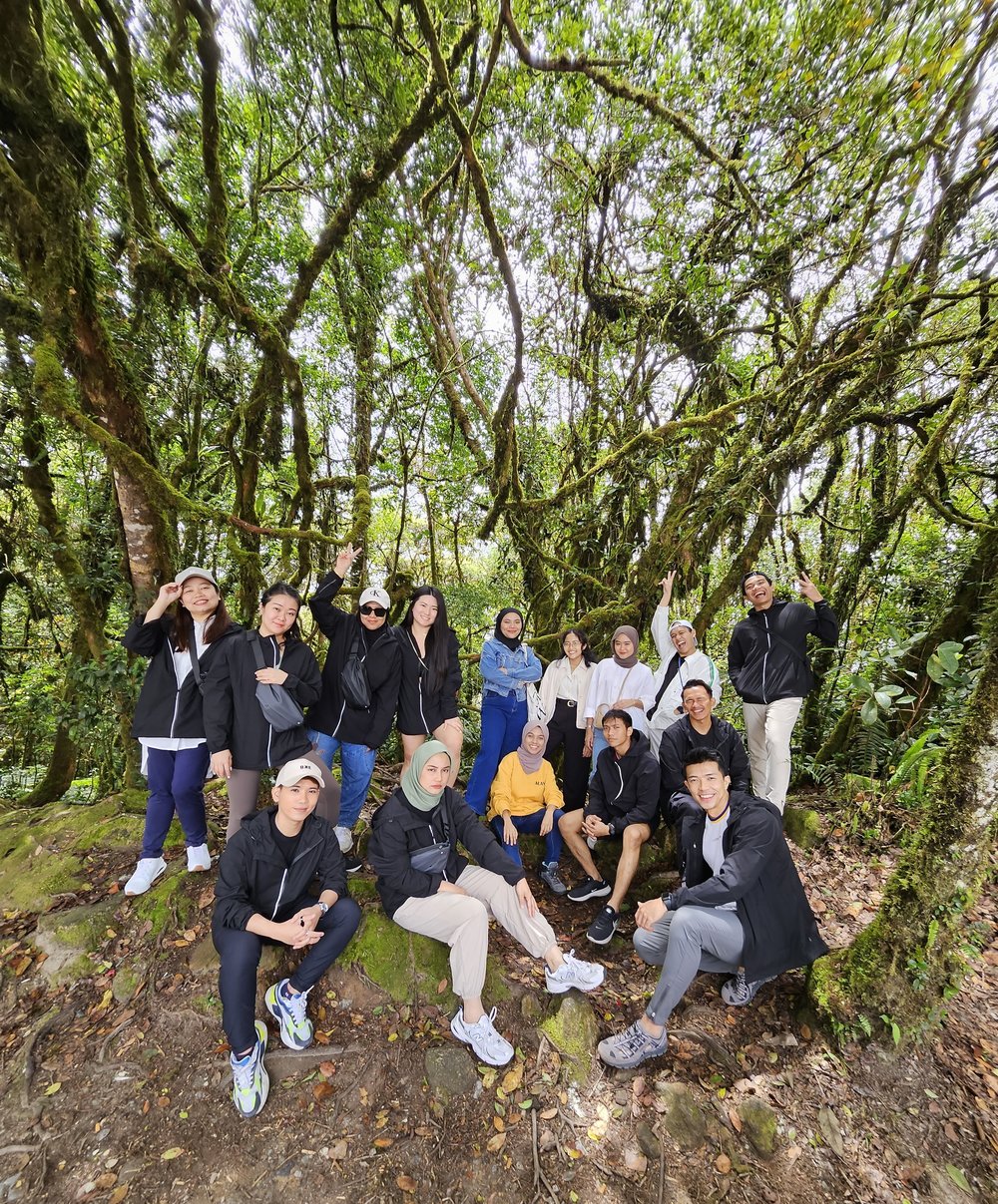 MY Cameron Highlands Mossy Forest