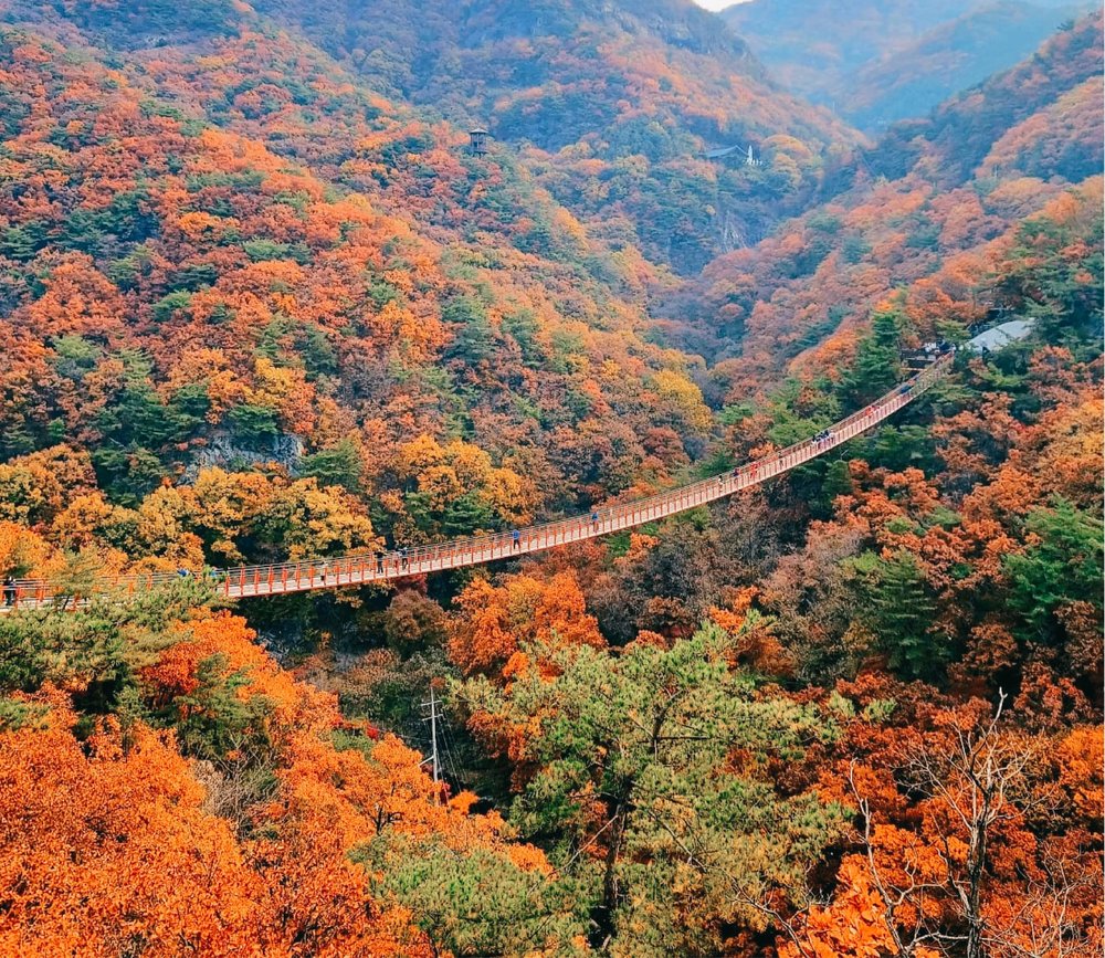 view of Gamaksan with autumn foliage