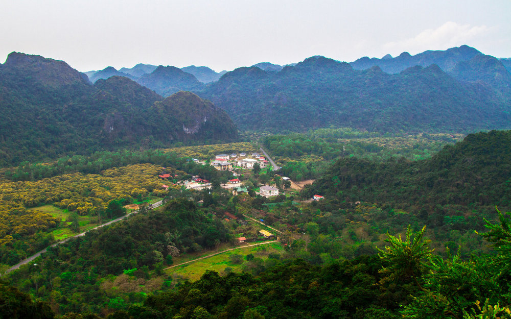 Khởi Hành Đi Vườn Quốc Gia Cát Bà Từ Hà Nội