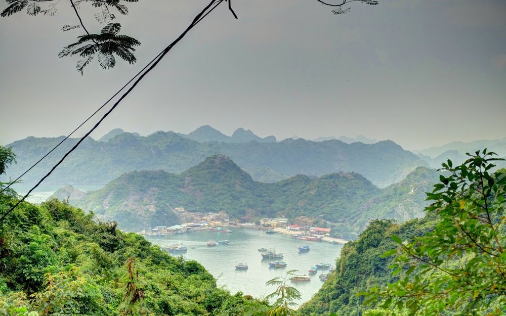 Khởi Hành Đi Vườn Quốc Gia Cát Bà Từ Sài Gòn