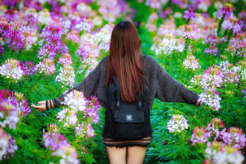 Check-In Tại Thung Lũng Hoa Cát Bà