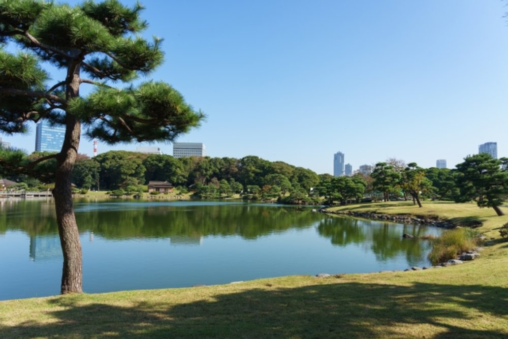 東京 浜離宮恩賜庭園