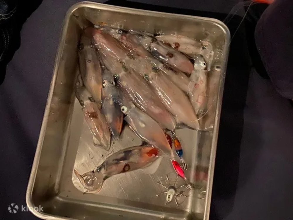 香港好去處 暑假好去處 暑假活動 親子好去處 親子活動 香港好去處2024 暑假好去處2024 暑假活動2024 親子好去處2024 親子活動2024