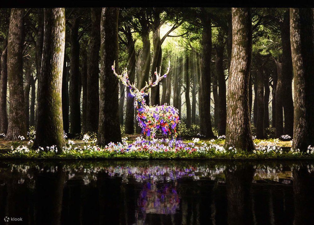 香港好去處 暑假好去處 暑假活動 親子好去處 親子活動 香港好去處2024 暑假好去處2024 暑假活動2024 親子好去處2024 親子活動2024