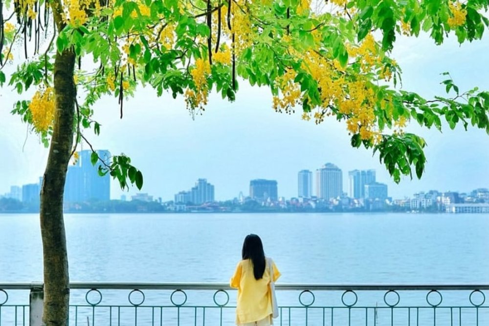 西湖, 河內景點, 河內自由行