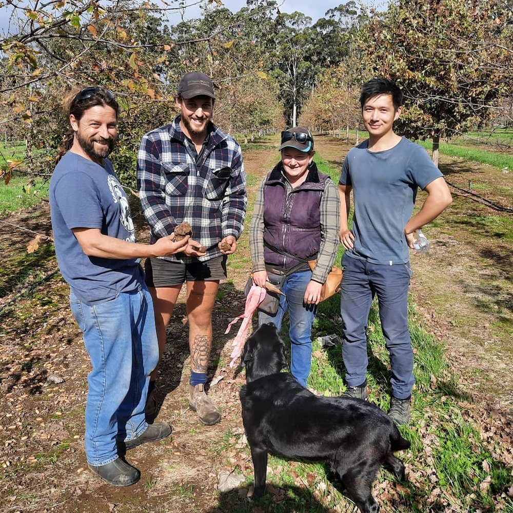 truffle hunting in perth