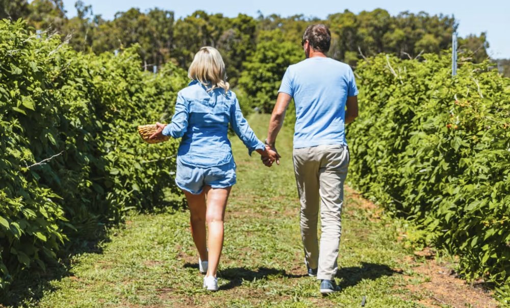 food and walking trail in perth