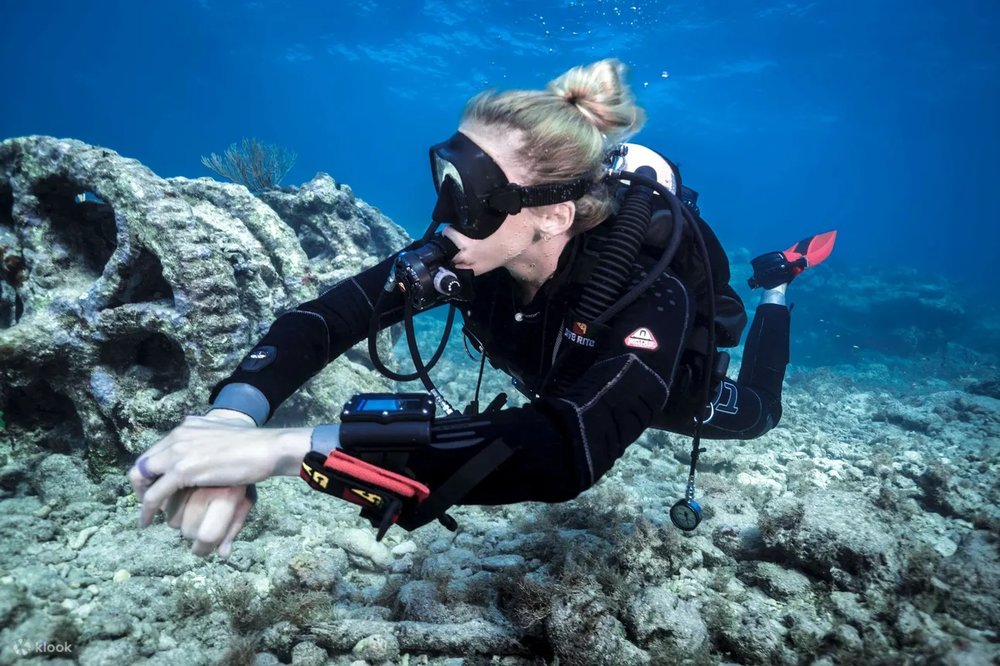underwater sculptures in perth