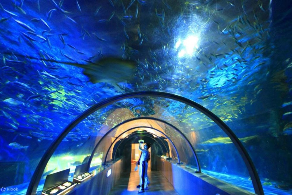 Công Viên Hải Dương Noboribetsu Nixe Hokkaido