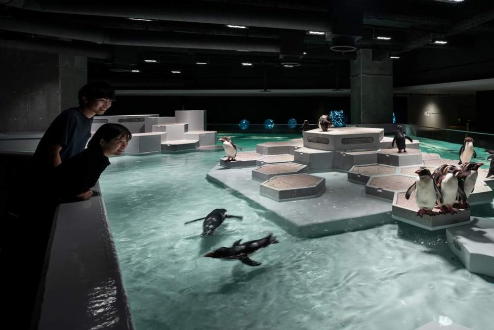 Thủy Cung AOAO SAPPORO Hokkaido