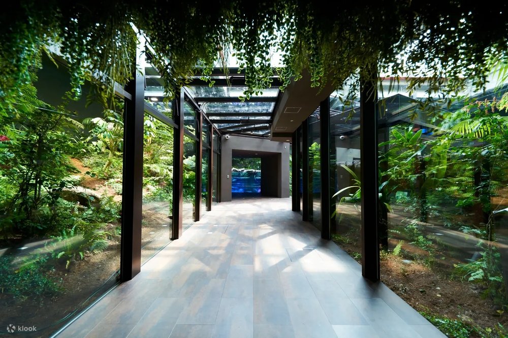 東京水族館, 神奈川川崎水族館