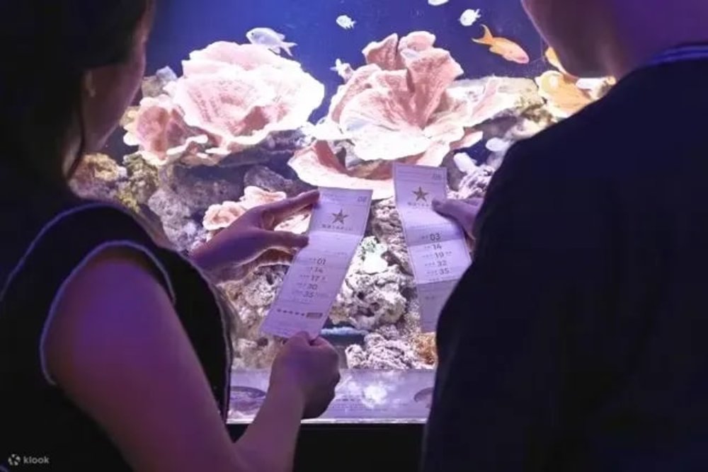 東京水族館, 橫濱開運水族館