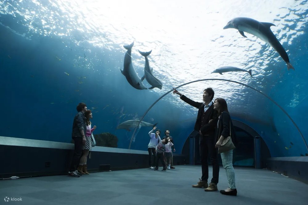 東京水族館, 橫濱・八景島海洋樂園