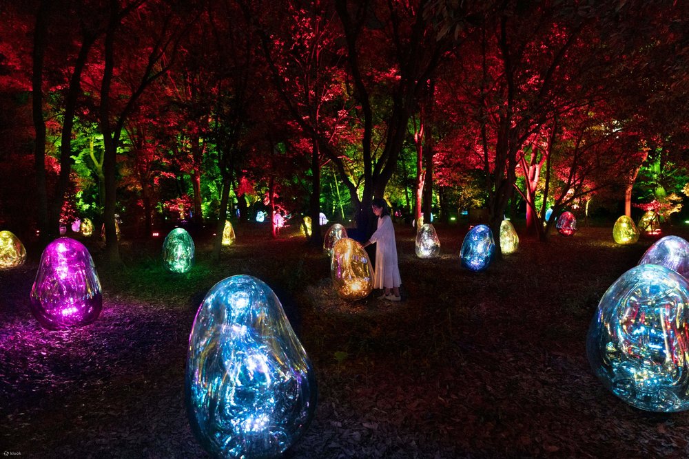  Vườn Bách Thảo teamLab Osaka