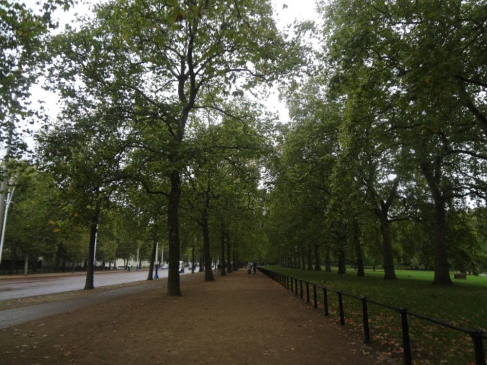 ケンジントン宮殿 ハイド・パーク周辺の道