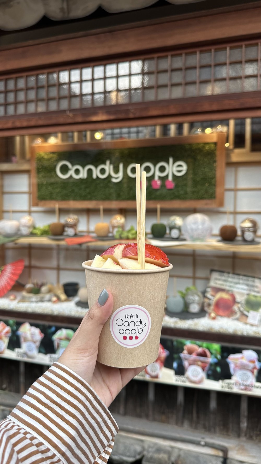 Ninezaka Street Japan