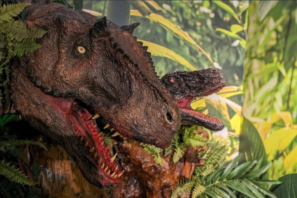 Bảo Tàng Kaiyodo Hobby Land Osaka